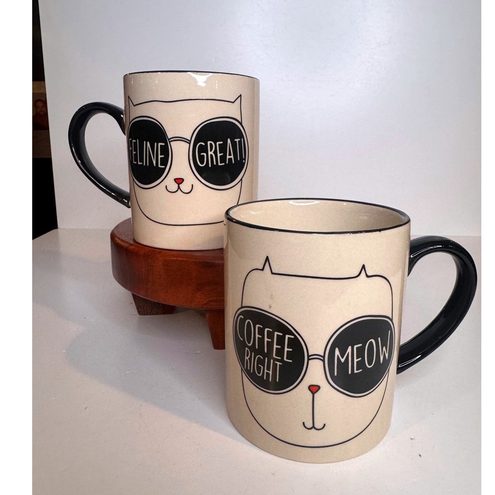 PET by Home Essentials Cat Mugs Set of 2 Feline Great Coffee Right Meow